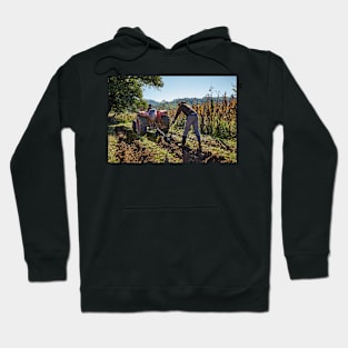 Potatoes harvest Hoodie